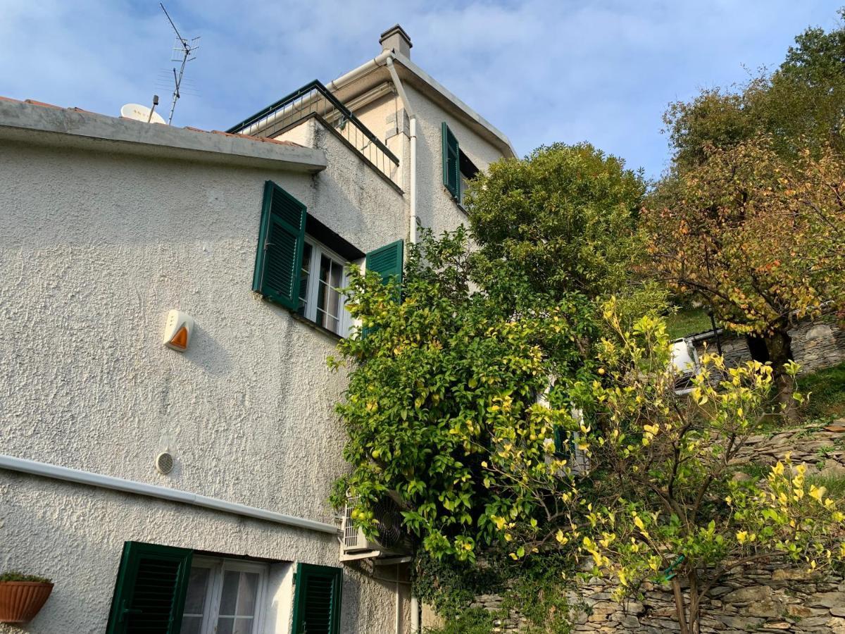 Villa Il Giardino Di Piero - Lt-0029 à Salto Chiesa Extérieur photo